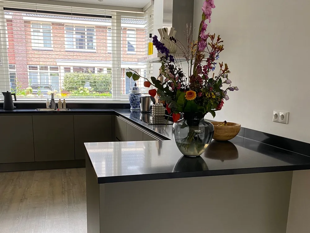 Vlaardingen: peninsula after wrapping