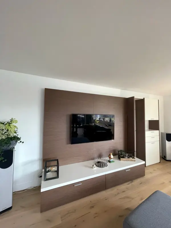 TV unit and wall panel in woodgrain