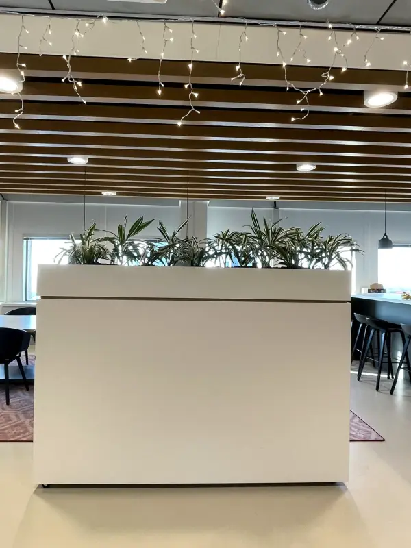 Before: white room divider with planter, from the side