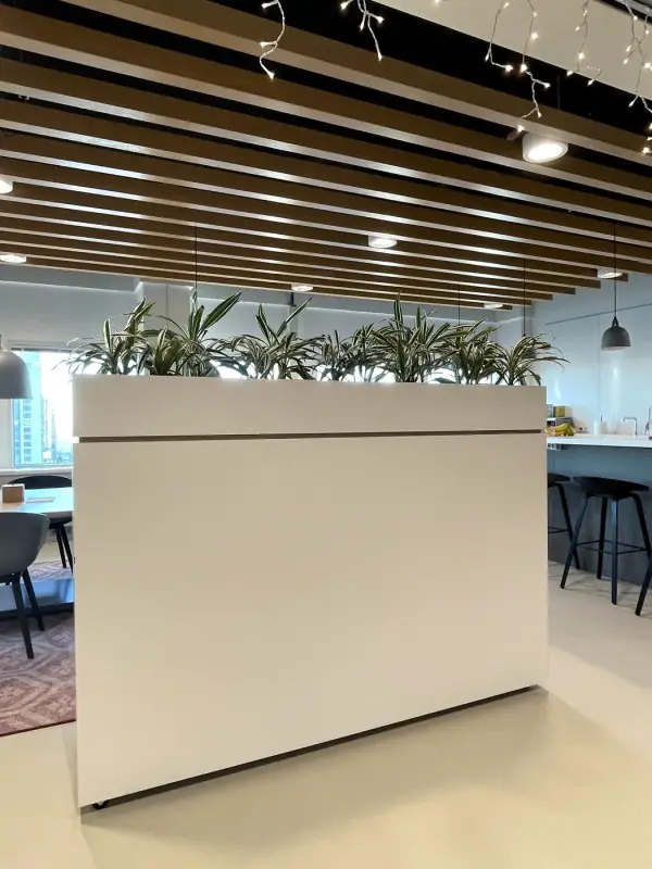 Before: white room divider with planter, straight on