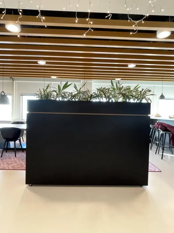 After: matt black room divider in the open office, from a little further away