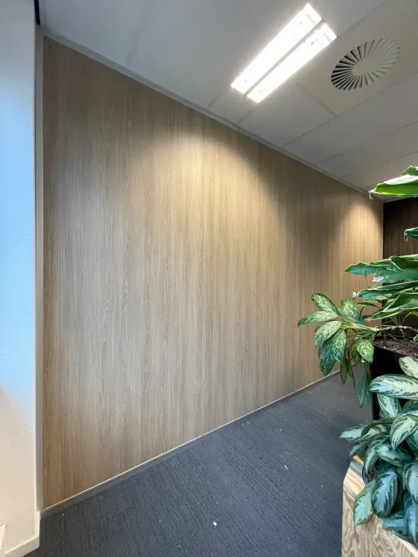 Wood-look wall close up, with a plant in front
